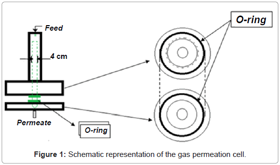 membrane-science-technology-Schematic-representation