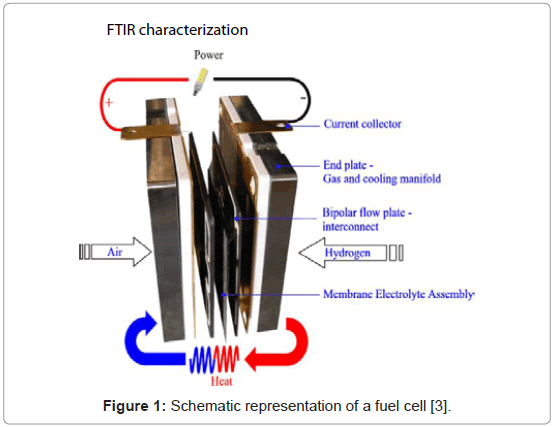 membrane-science-technology-Schematic-representation