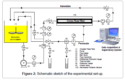 membrane-science-technology-Schematic-sketch