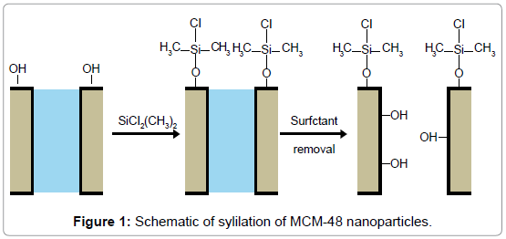 membrane-science-technology-Schematic-sylilation