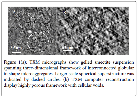 membrane-science-technology-TXM-micrographs