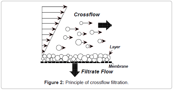 membrane-science-technology-crossflow-filtration