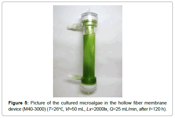 membrane-science-technology-cultured-microalgae