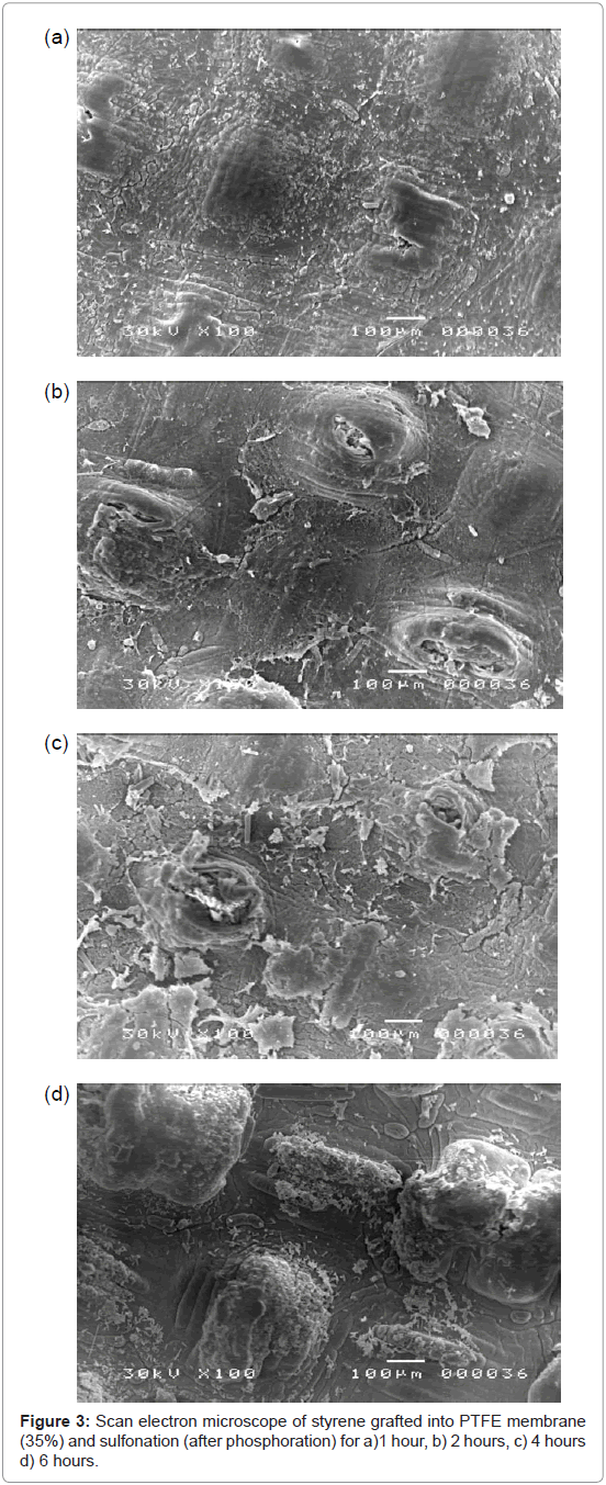 membrane-science-technology-electron-microscope