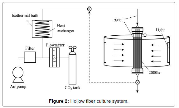 membrane-science-technology-fiber-culture-system