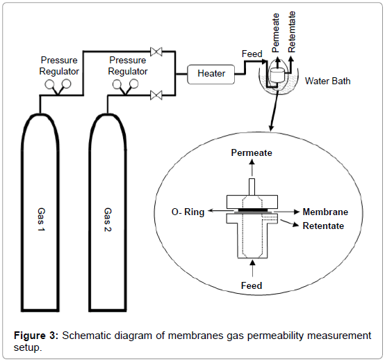 membrane-science-technology-gas-permeability