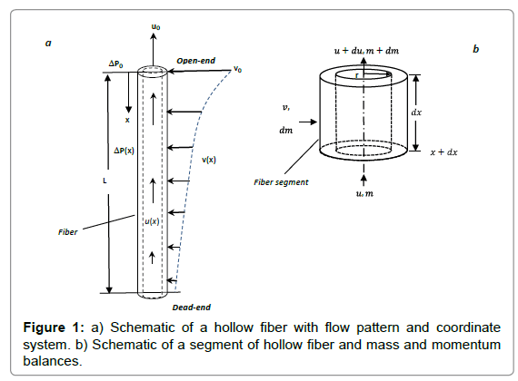 membrane-science-technology-hollow-fiber-flow