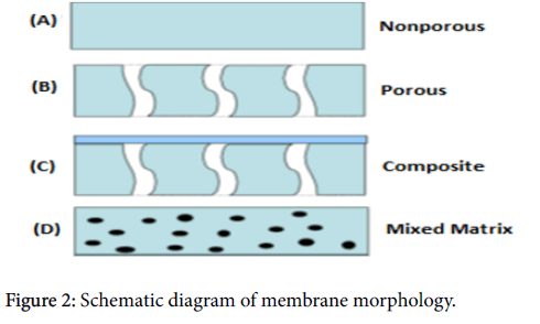 membrane-science-technology-membrane-morphology