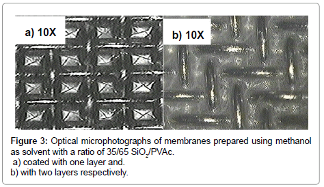 membrane-science-technology-microphotographs