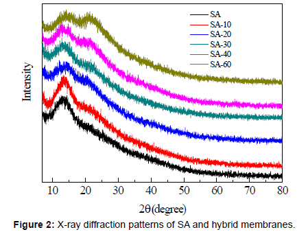 membrane-science-technology-patterns-SA-hybrid-membranes