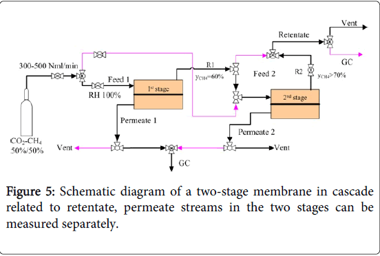 membrane-science-technology-permeate-streams