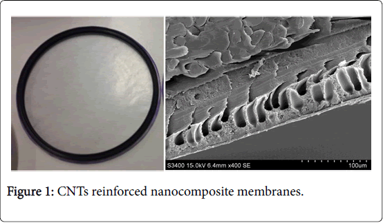 membrane-science-technology-reinforced-nanocomposite