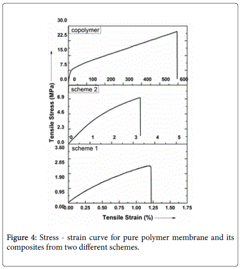 membrane-science-technology-strain-curve