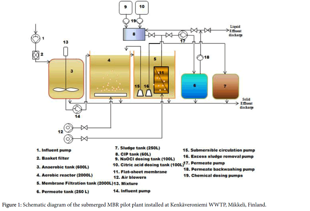 membrane-science-technology-submerged-MBR-pilot-plant