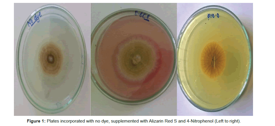 microbial-biochemical-technology-Alizarin-Red