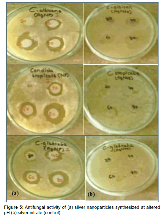 microbial-biochemical-technology-Antifungal-activity
