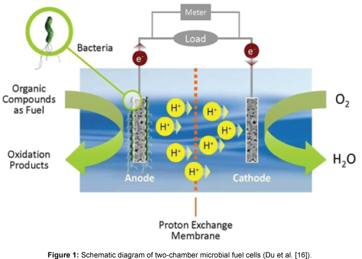 microbial-biochemical-technology-Schematic-diagram