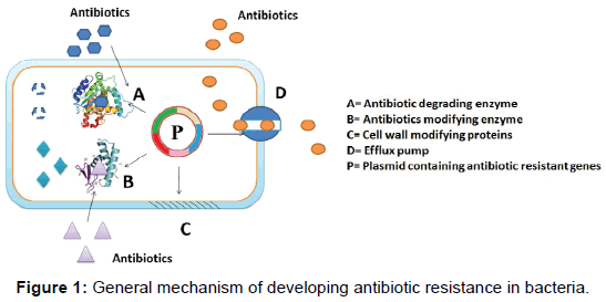 microbial-biochemical-technology-antibiotic-resistance-bacteria