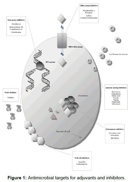 microbial-biochemical-technology-antimicrobial-adjuvants-inhibitors