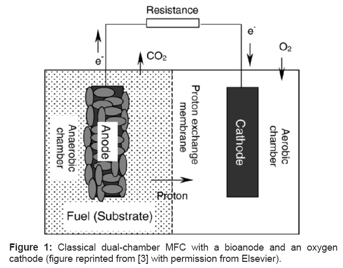 microbial-biochemical-technology-bioanode