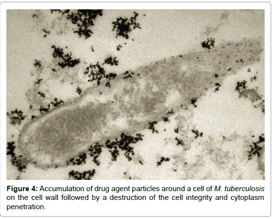 microbial-biochemical-technology-cell-wall