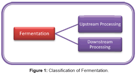 microbial-biochemical-technology-classification-fermentation