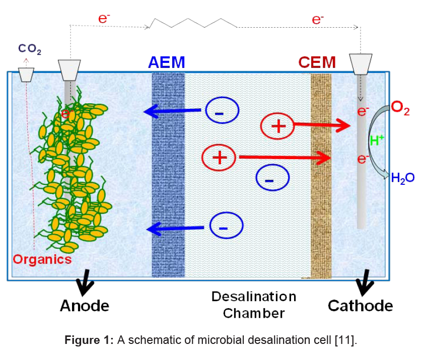 microbial-biochemical-technology-desalination