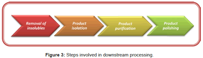 microbial-biochemical-technology-involved-downstream-processing
