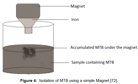 microbial-biochemical-technology-isolation-simple-magnet