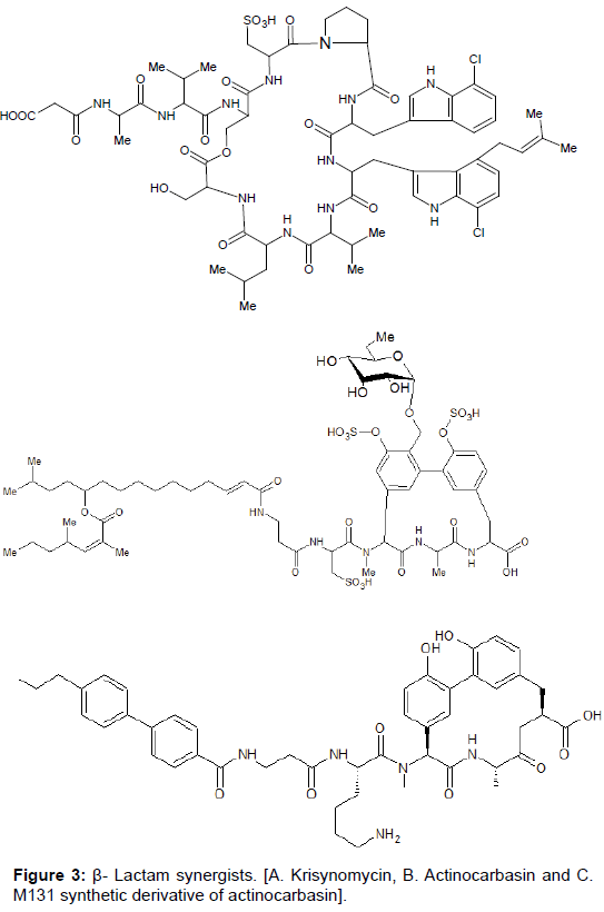 microbial-biochemical-technology-lactam-synergists-Krisynomycin