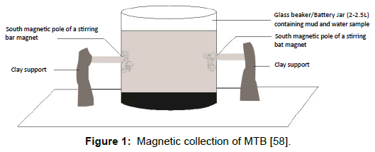 microbial-biochemical-technology-magnetic-collection