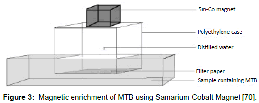 microbial-biochemical-technology-magnetic-enrichment-samarium