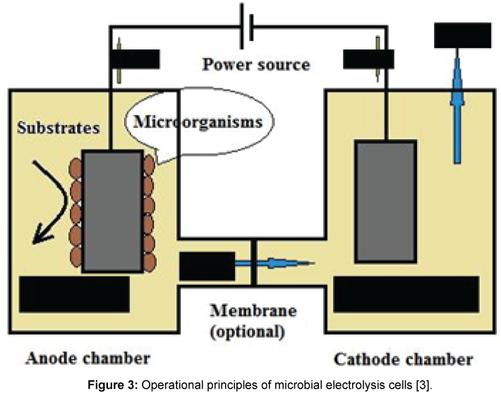 microbial-biochemical-technology-microbial-electrolysis