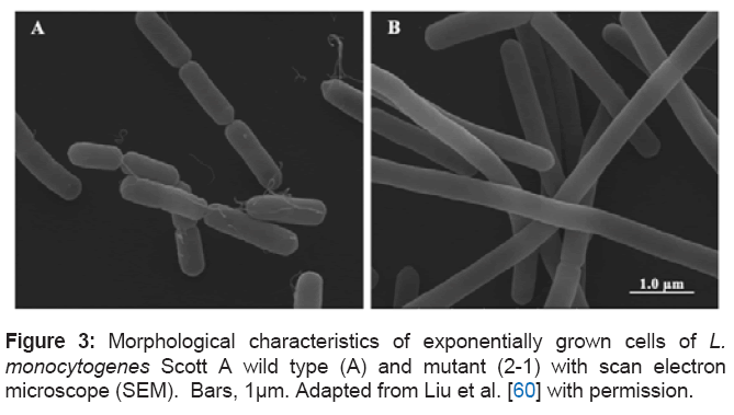 microbial-biochemical-technology-monocytogenes
