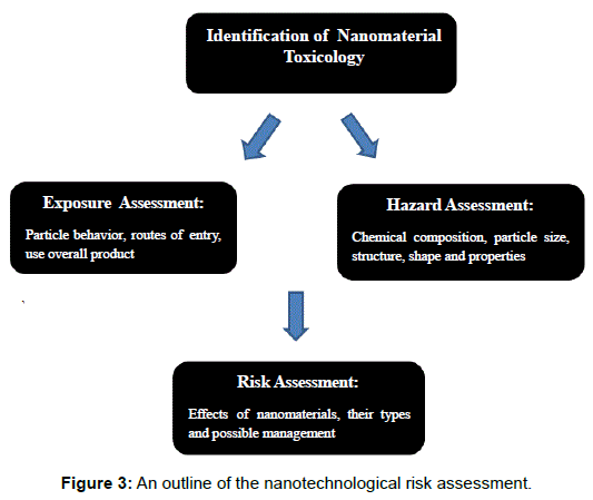 microbial-biochemical-technology-nanotechnological-risk-assessment