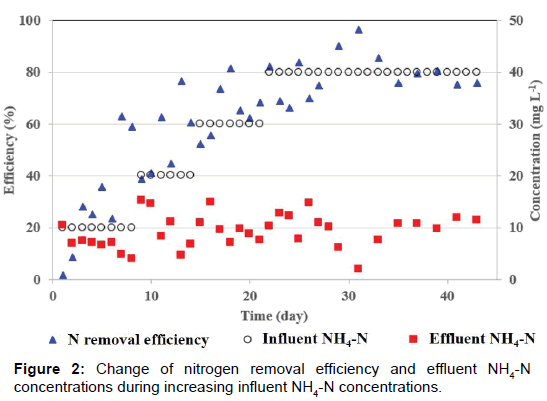 microbial-biochemical-technology-nitrogen-efficiency-influent