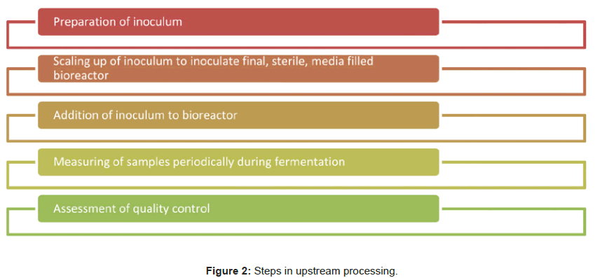 microbial-biochemical-technology-steps-upstream-processing