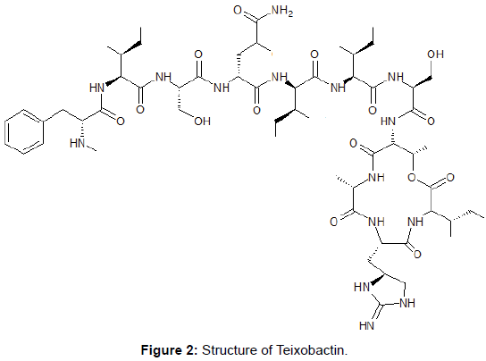 microbial-biochemical-technology-structure-teixobactin