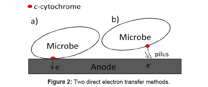 microbial-biochemical-technology-transfer