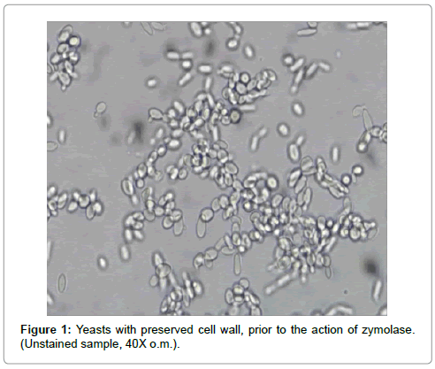 microbial-biochemical-technology-zymolase