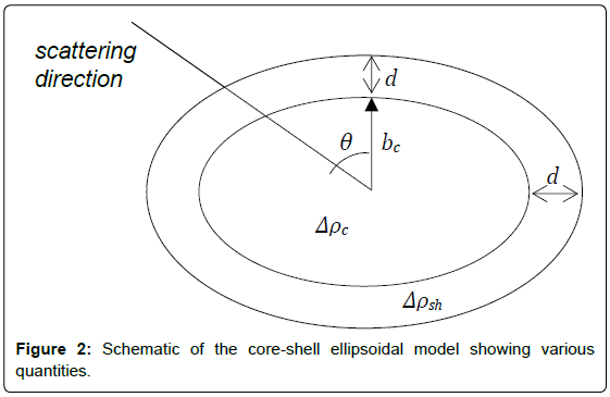 Structure of Micelles Calcium Didodecyl Sulfate: A SAXS Study