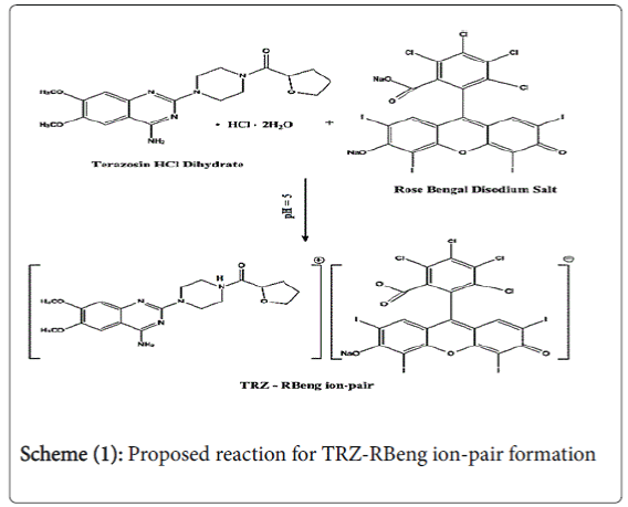 pharmaceutica-TRZ-RBeng-ion-pair-formation