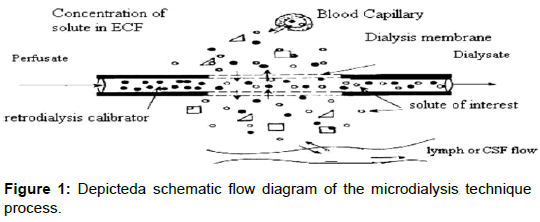 pharmaceutica-analytica-acta-Depicteda-schematic-flow