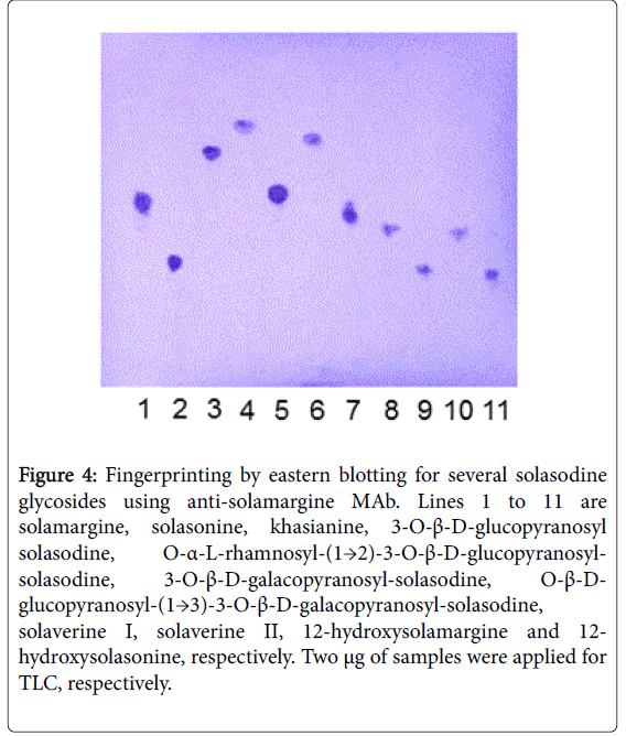 pharmaceutica-analytica-acta-Fingerprinting-eastern-blotting