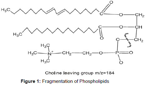 pharmaceutica-analytica-acta-Fragmentation-Phospholipids