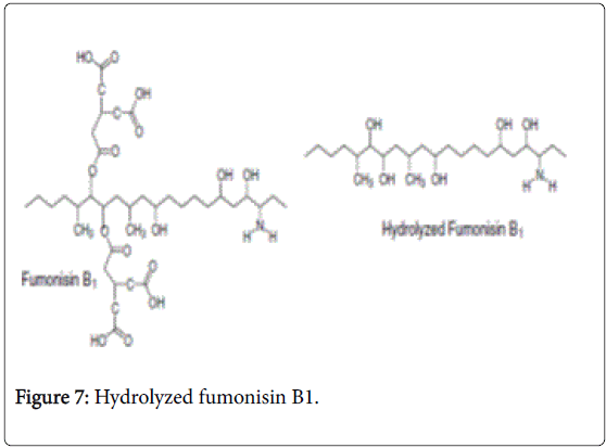 pharmaceutica-analytica-acta-Hydrolyzed-fumonisin