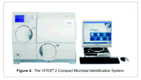 pharmaceutica-analytica-acta-Microbial-Identification