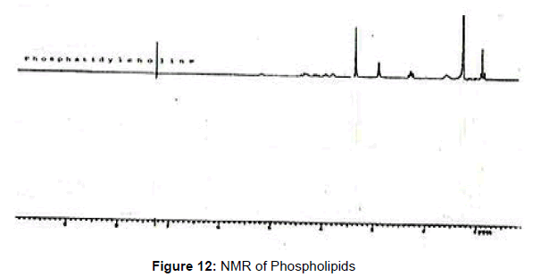pharmaceutica-analytica-acta-NMR-Phospholipids