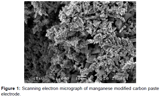 pharmaceutica-analytica-acta-Scanning-electron-micrograph