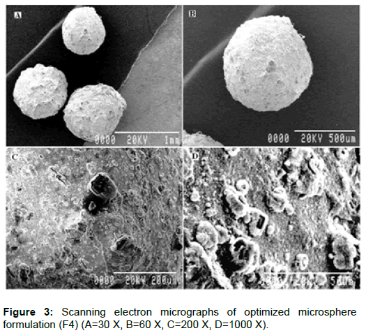 pharmaceutica-analytica-acta-Scanning-electron-micrographs